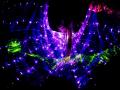 1x1 Black Light Theatre HILT images OF love Adele light